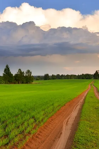 Пейзажи Беларуси