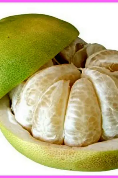Помело фрукт