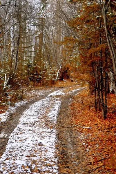 Поздняя осень фото