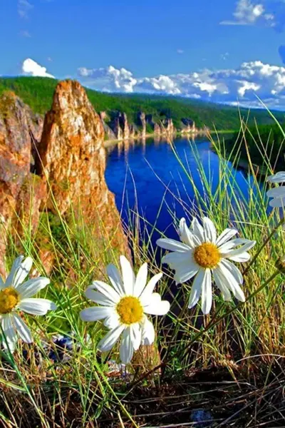 Природа России