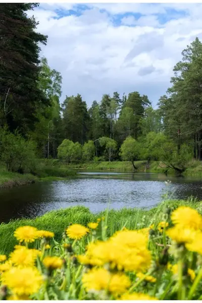 Природа весенней Бугульмы