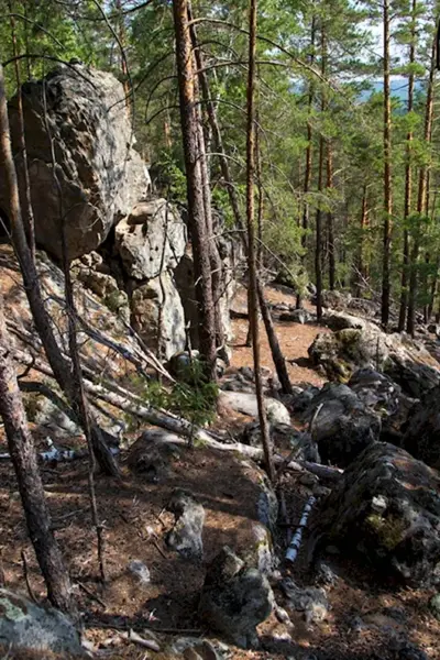 Рачейский Бор Самарская область