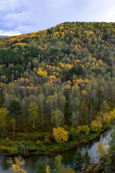 Река Бердь в Бердске