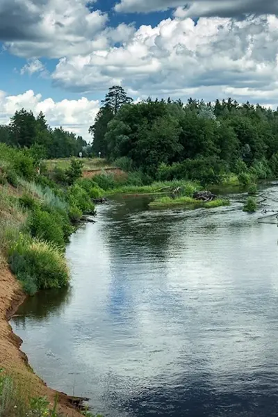 Река Боровка Бузулукский Бор