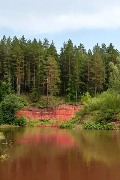 Река Боровка Бузулукский Бор