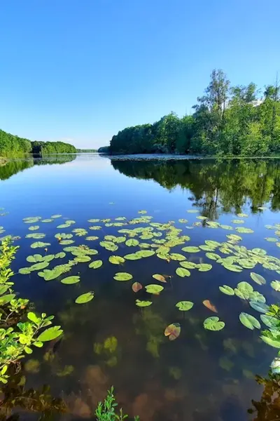 Река Инерка в Мордовии