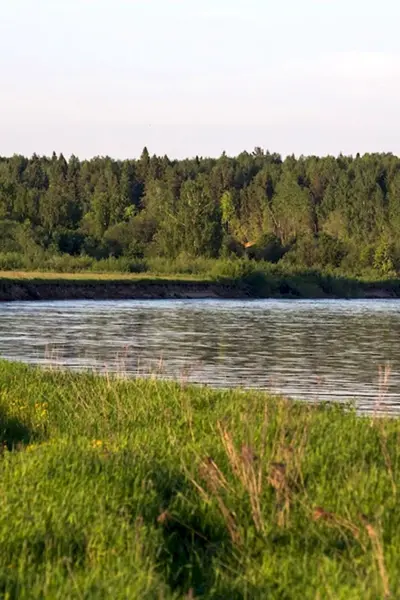 Река Юг Подосиновского района Кировской области