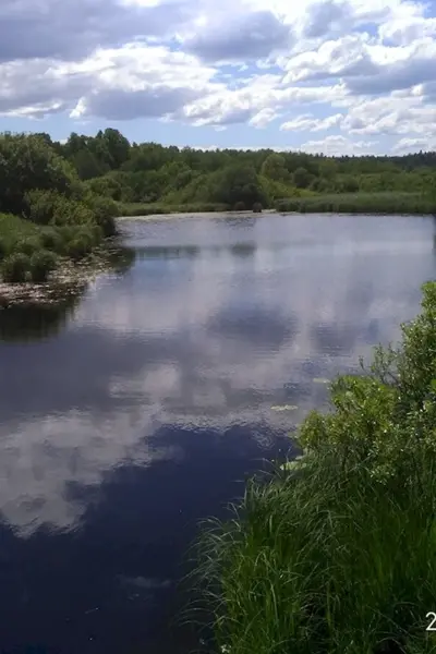 Река Луга Толмачево