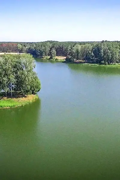 Река Унеча Брянской области