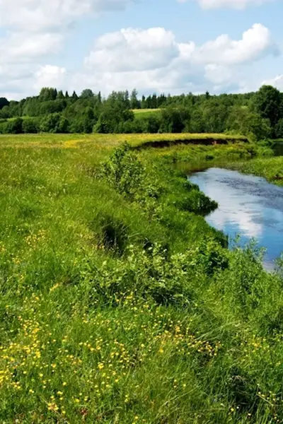 Река Волгуша