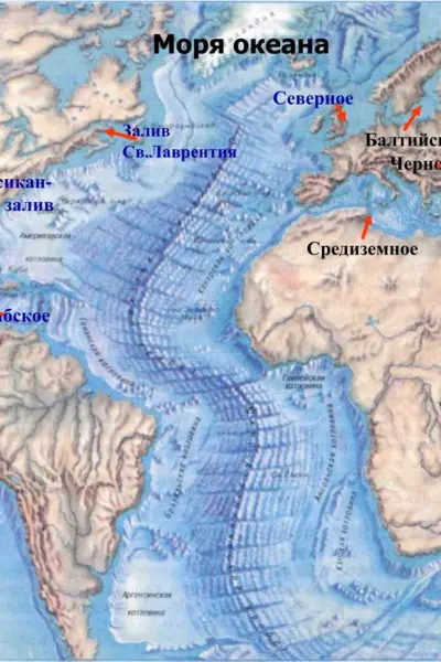 Рельеф дна Атлантического океана 7 класс