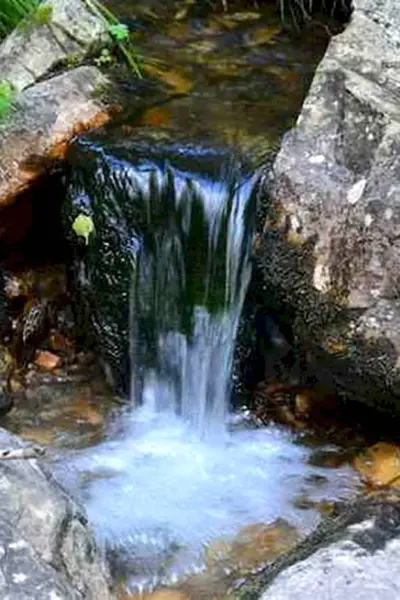 Родник Минеральные воды