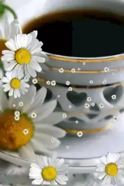Ромашки и кофе