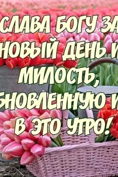 С добрым утром Божьего благословения