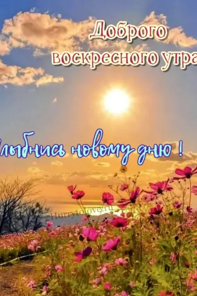 С добрым воскресным утром