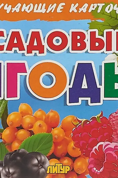 Садовые ягоды карточки