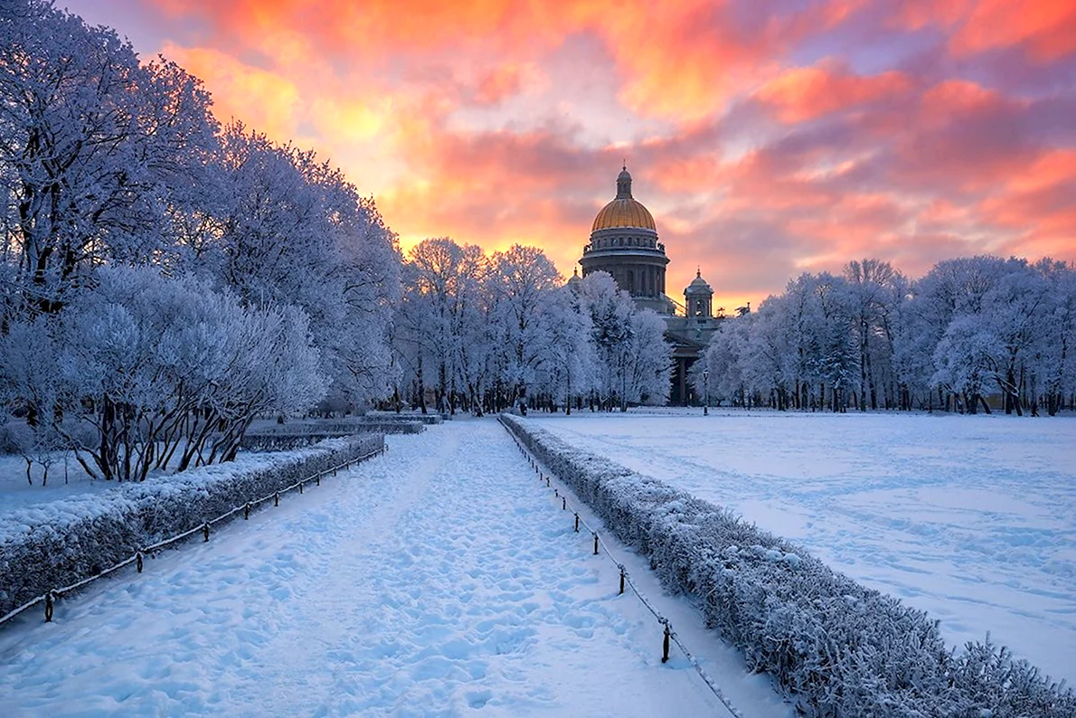 Зимний петербург открытка - 57 фото