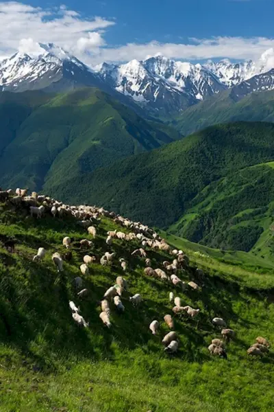 Северная Осетия горы Альпийские Луга