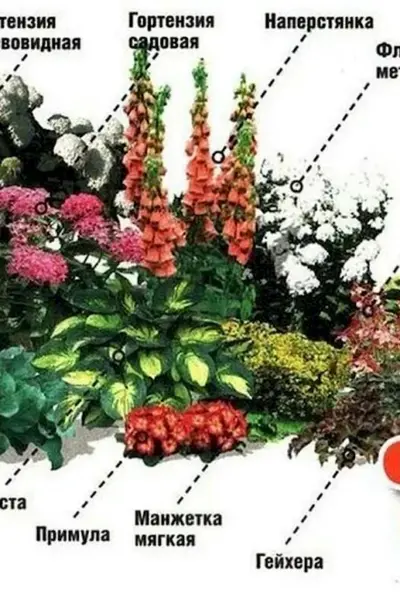 Схема рабатки непрерывного цветения