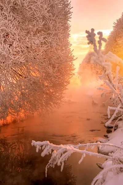 Снежное утро