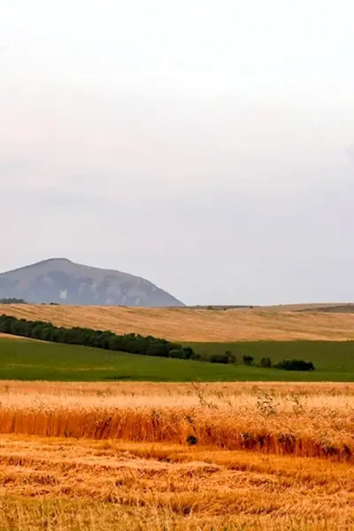 Степь Ногайского района