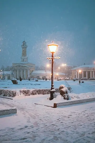 Сусанинская площадь Кострома зима