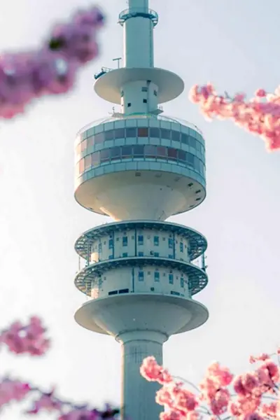 Tokyo Sky Tree Япония Сакура