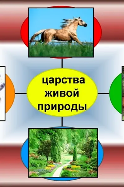 Царства живой природы