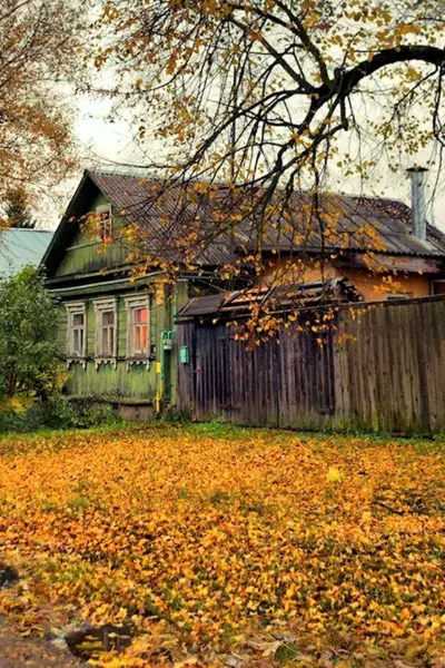 Тверская деревня осень