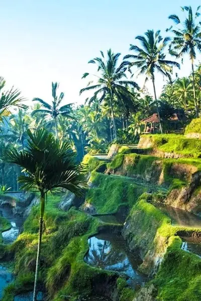 Ubud Бали