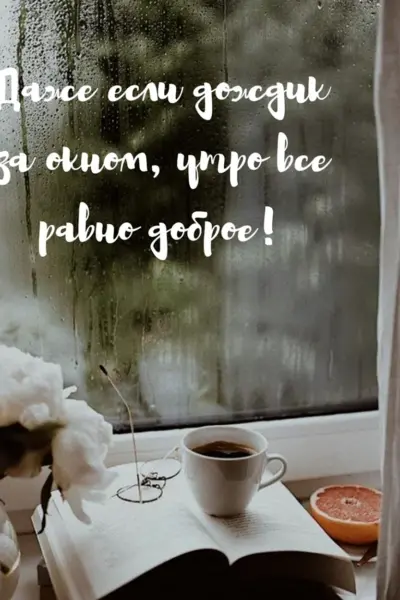 Утро окно