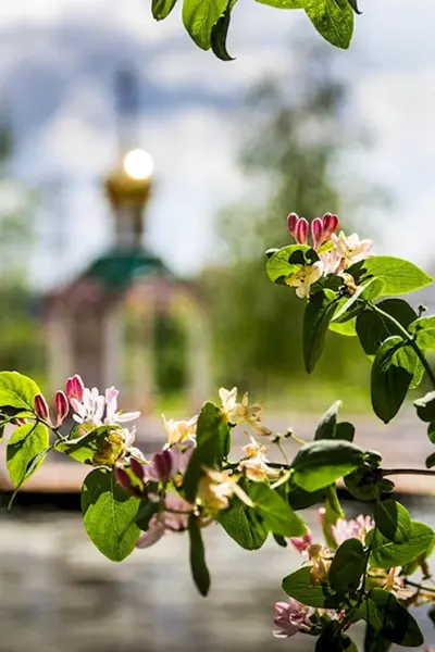 Весеннее Подмосковье