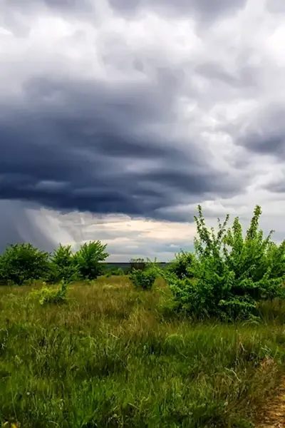 Весенняя гроза