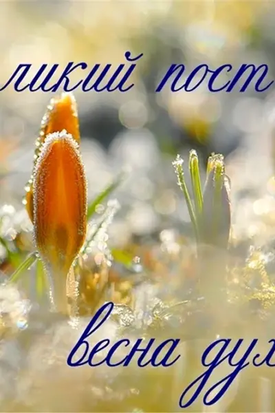 Весна солнце
