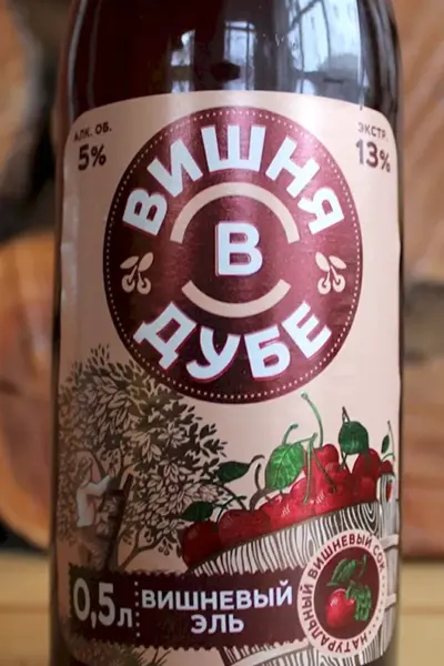 Вишня в дубе вишневый Эль