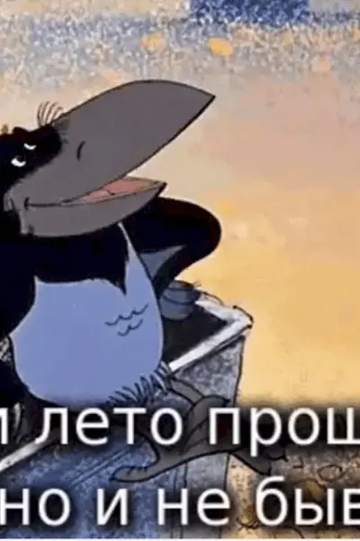 Вот и лето прошло