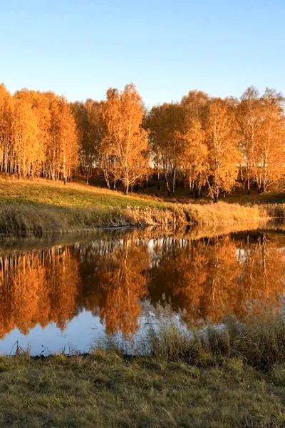 Зауралье Курганская область