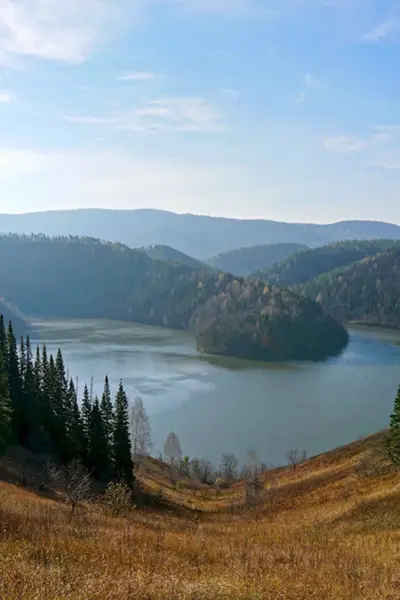 Жукова шишка Симский пруд