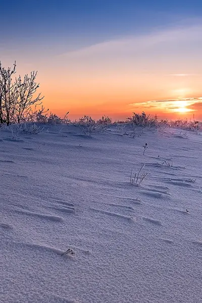 Зима в степи