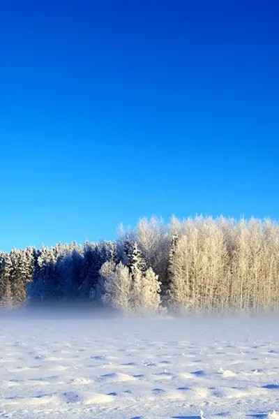 Зимнее поле