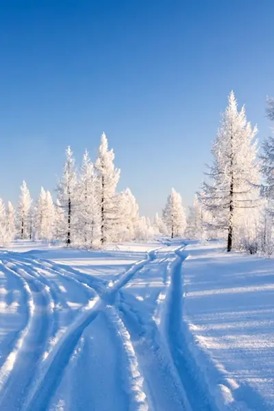 Зимний пейзаж