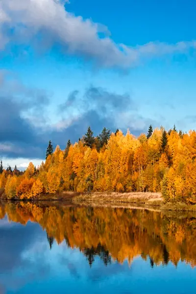 Золотая осень в Карелии