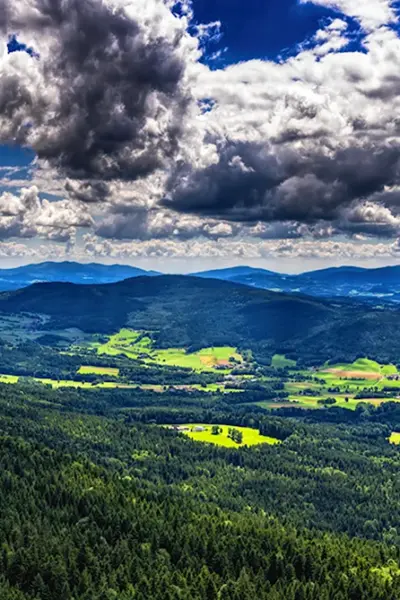 Баварский лес Германия