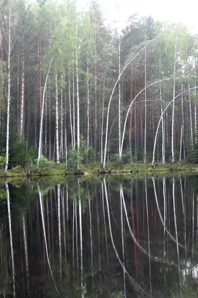 Чухонское озеро Парголово