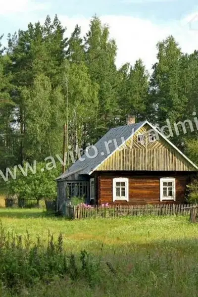 Деревня в лесу