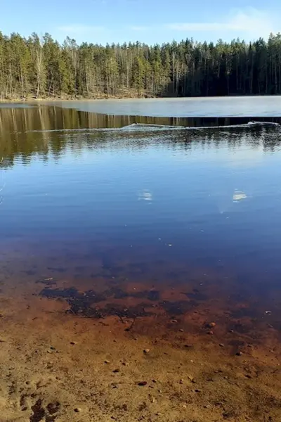 Дружинное озеро Зеленогорск