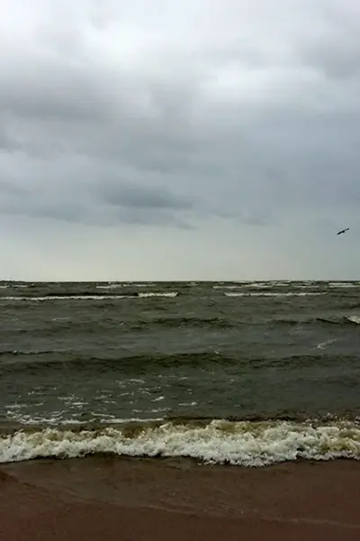 Финский залив Балтийского моря