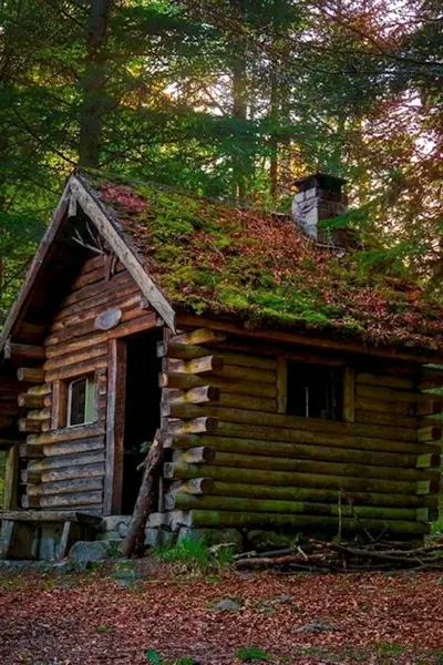 Хижина гномов Британская Колумбия