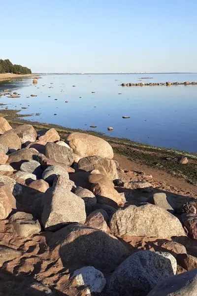 Комарово финский залив