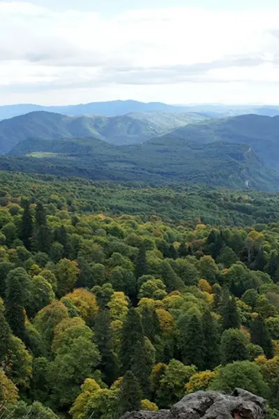 Лагонаки горы лес Адыгея
